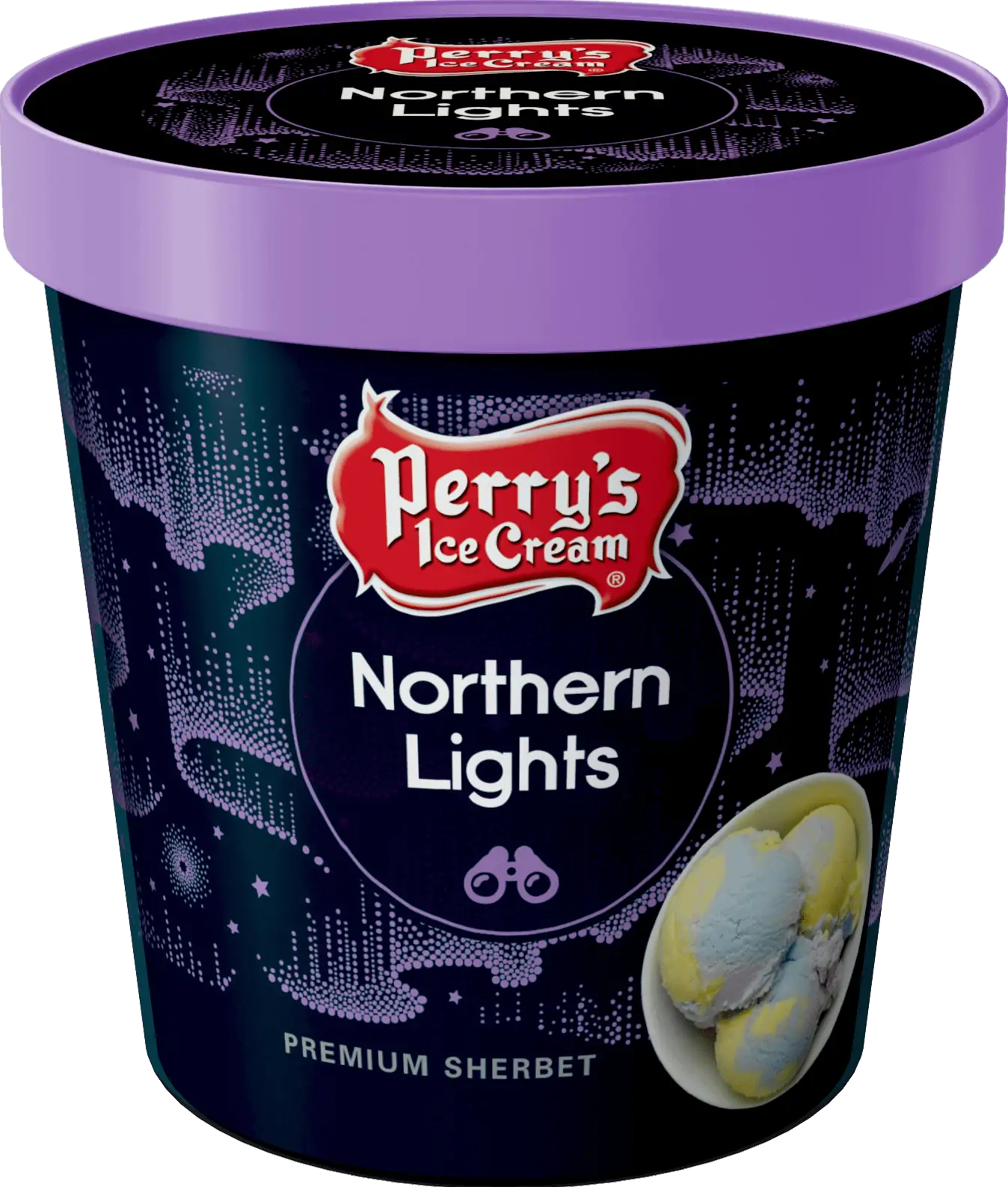 northern lights ice cream pint