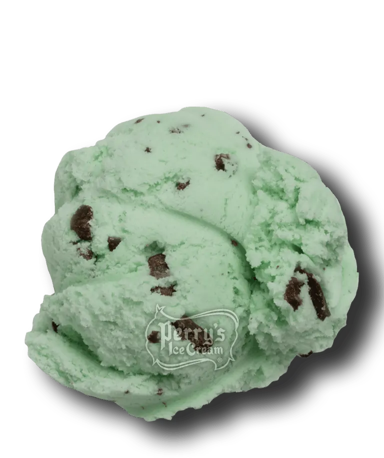 mint chocolate chip ice cream scoop