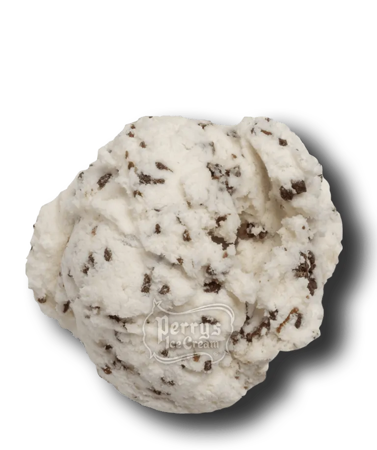 Toasted Coconut Ice Cream - Perry's Ice Cream | Products